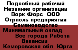 Подсобный рабочий › Название организации ­ Ворк Форс, ООО › Отрасль предприятия ­ Семеноводство › Минимальный оклад ­ 30 000 - Все города Работа » Вакансии   . Кемеровская обл.,Юрга г.